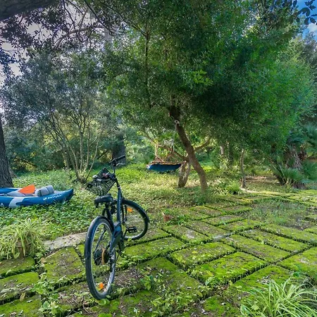 Villa Salom, For 8 At Mal Pas